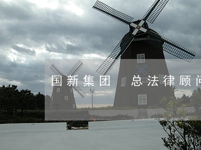 国新集团 总法律顾问 国新集团 总法律顾问